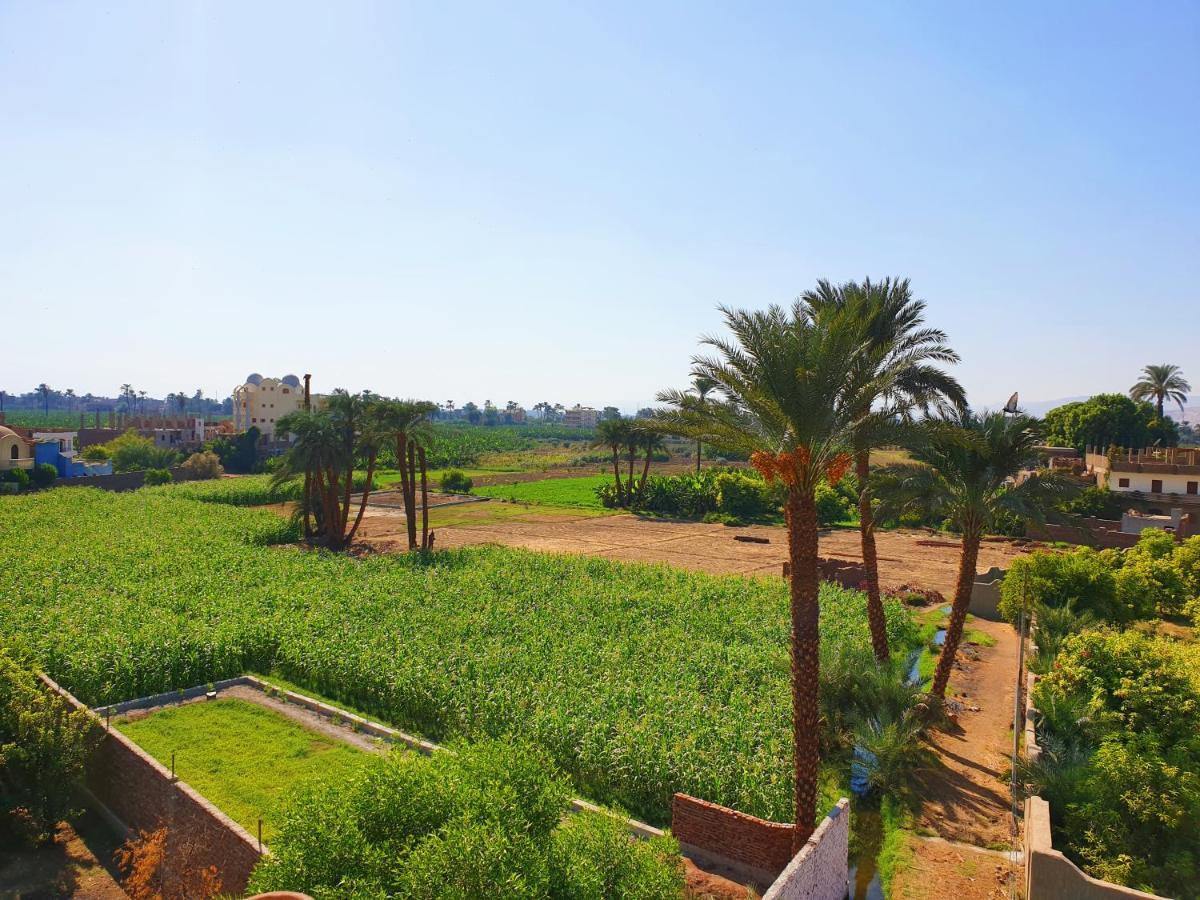Farida Apartments Luxor Exterior foto