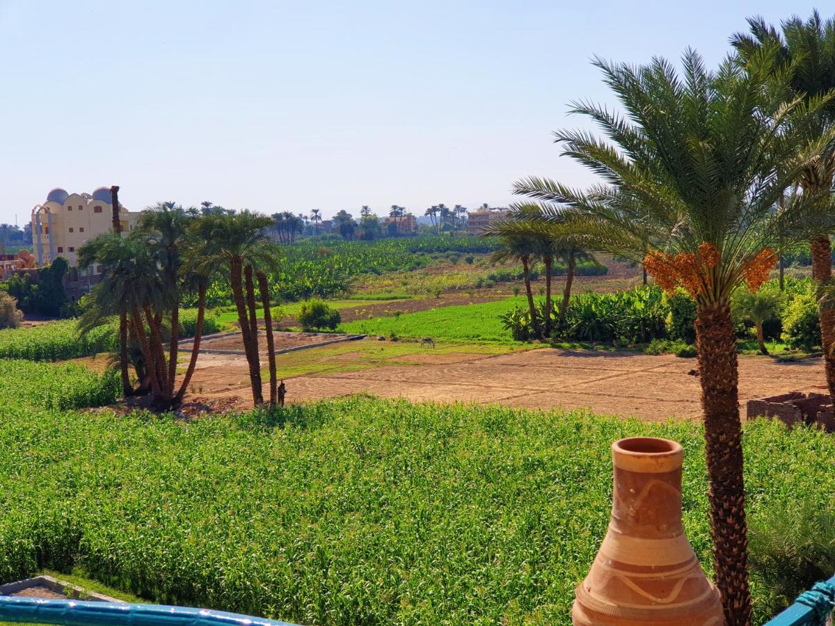 Farida Apartments Luxor Exterior foto
